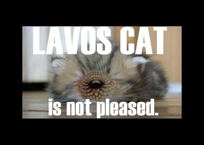 LAVOS CAT!!1!111!!1!