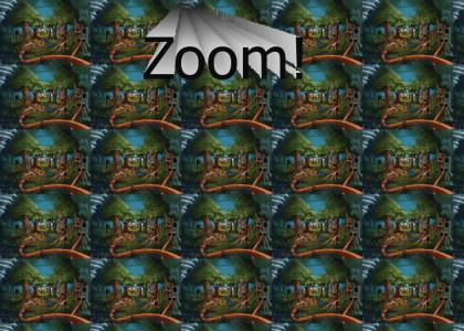 Zoom!