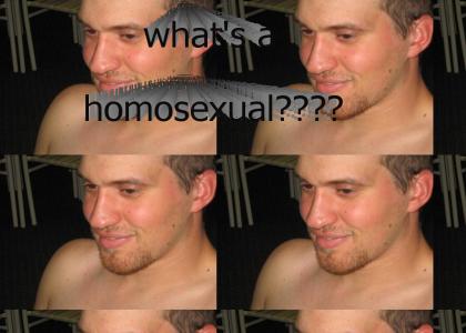 what's a homosexual?