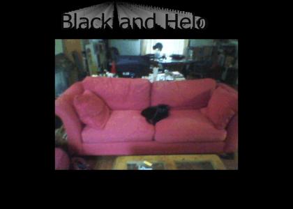Black And Helo