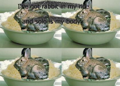 Rabbit is my rice and solo is my body