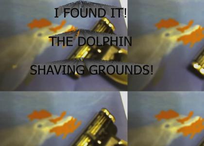 Dolphin Shaving Grounds
