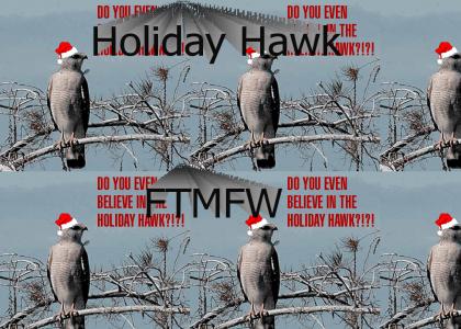 Holiday Hawk FTW