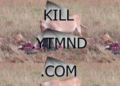 kill.ytmnd.com