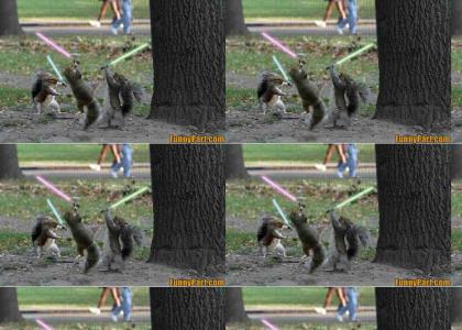 squirrel star wars