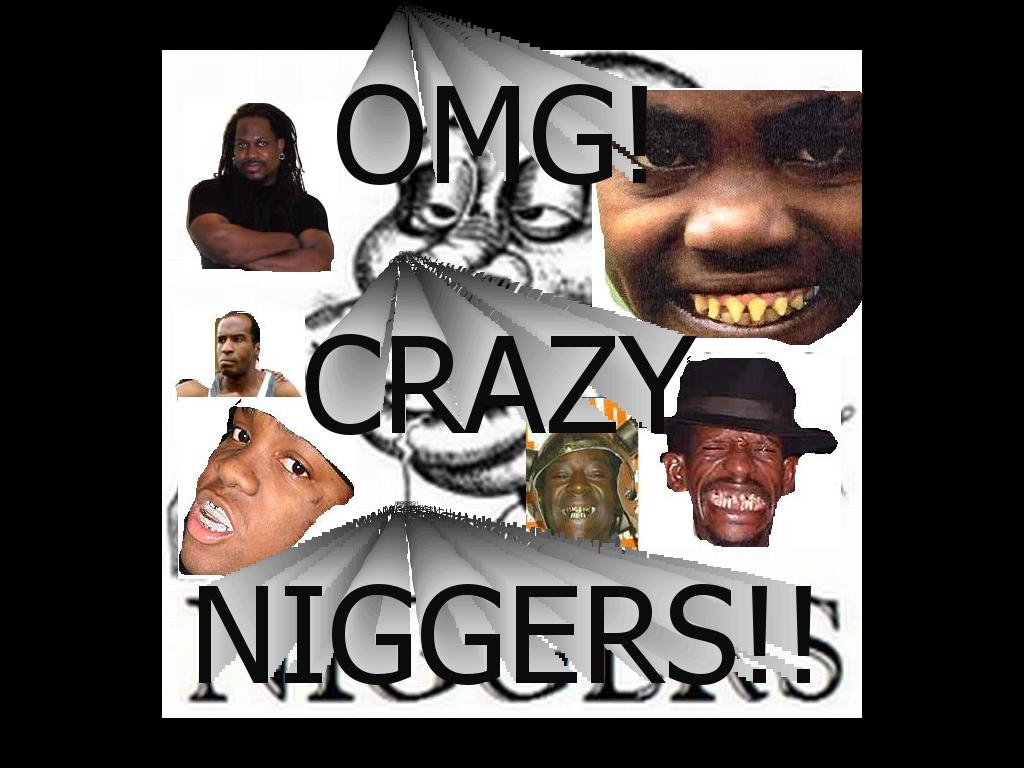 CrazyNiggers