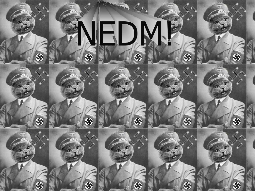 nedmnazi