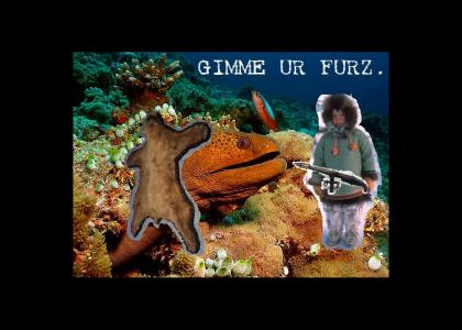 GIMME UR FURZ.