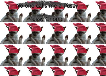 Gnome Pussy