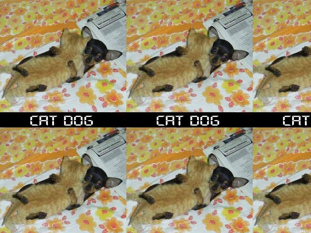 catdogmission