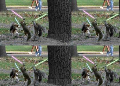 Jedi Squirrels!