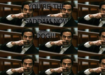 YOU'RE THE SADDAM NOW DOG!