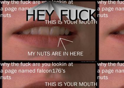 falcon176's nuts