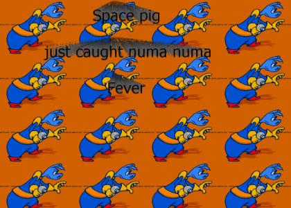 space pig has numa numa fever