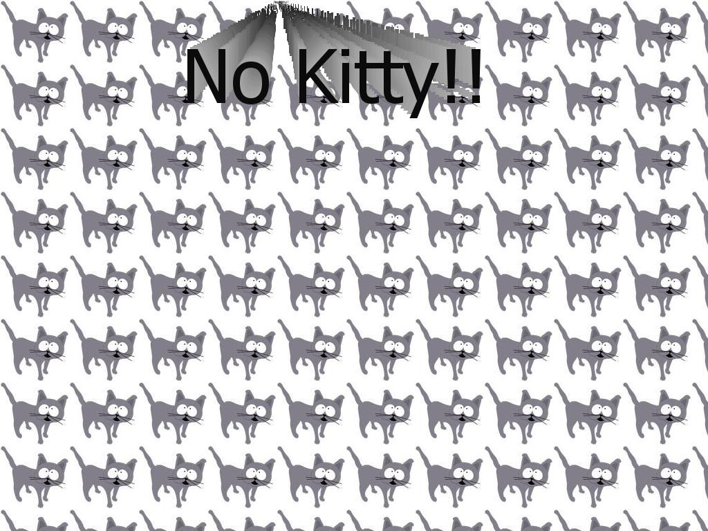 nokitty