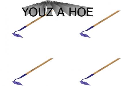 YOUZ A HOE!!!