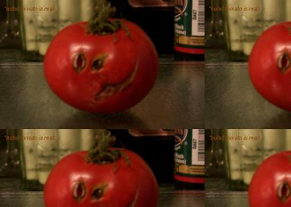 evil tomato