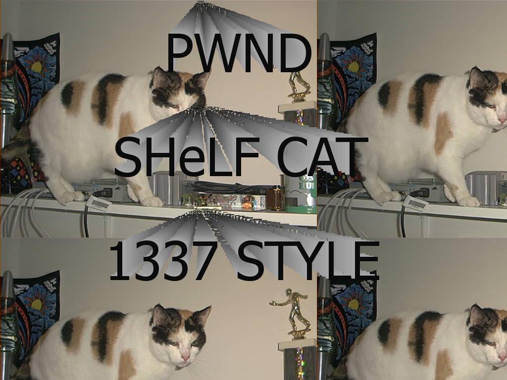 shelfcat