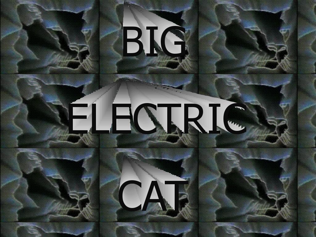 bigelectriccat