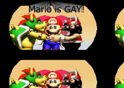 MARIO IS GAY!!!!