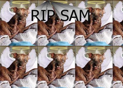 Sam RIP