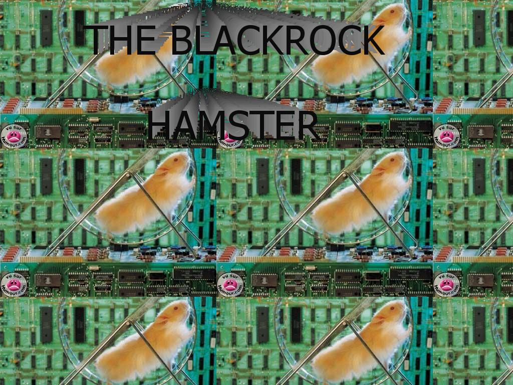 theblackrockhamster