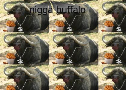 nigga buffalo