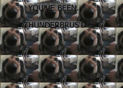 Thunderbrus