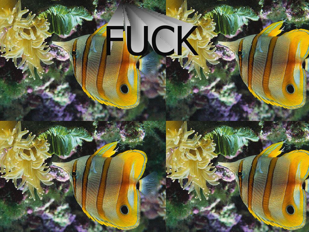 fuckfish5