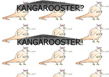 kangarooster
