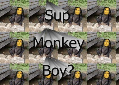 Sup Monkey Boy