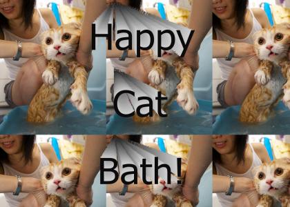 Happy Cat Bath!