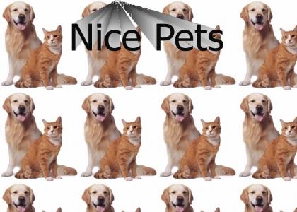 Nice Pets