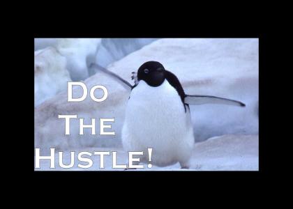 !Penguin Hustle!