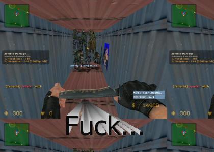 Counter Strike Fuck Up