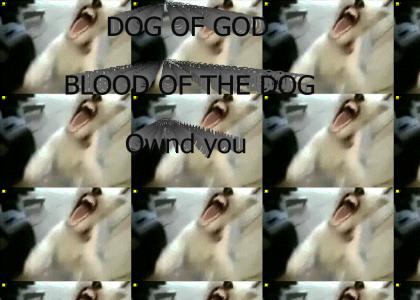BLOOD OF THE DOG