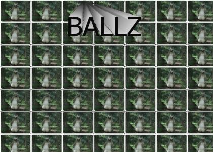 BALLS BALLS BALLS