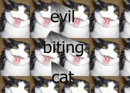 Evil Biting Cat