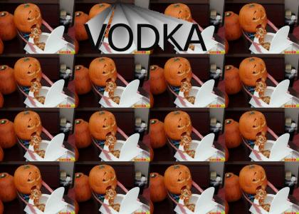 pumpkin drank to much