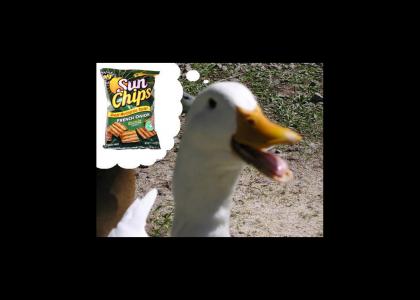 Ducks want Sun Chips!
