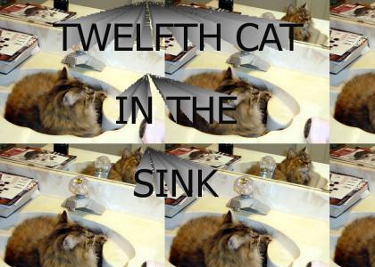 TWELFTH CAT IN THE SINK
