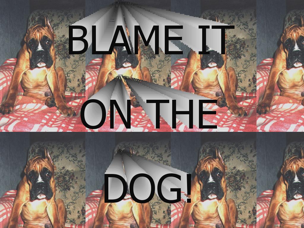 blameitonthedog