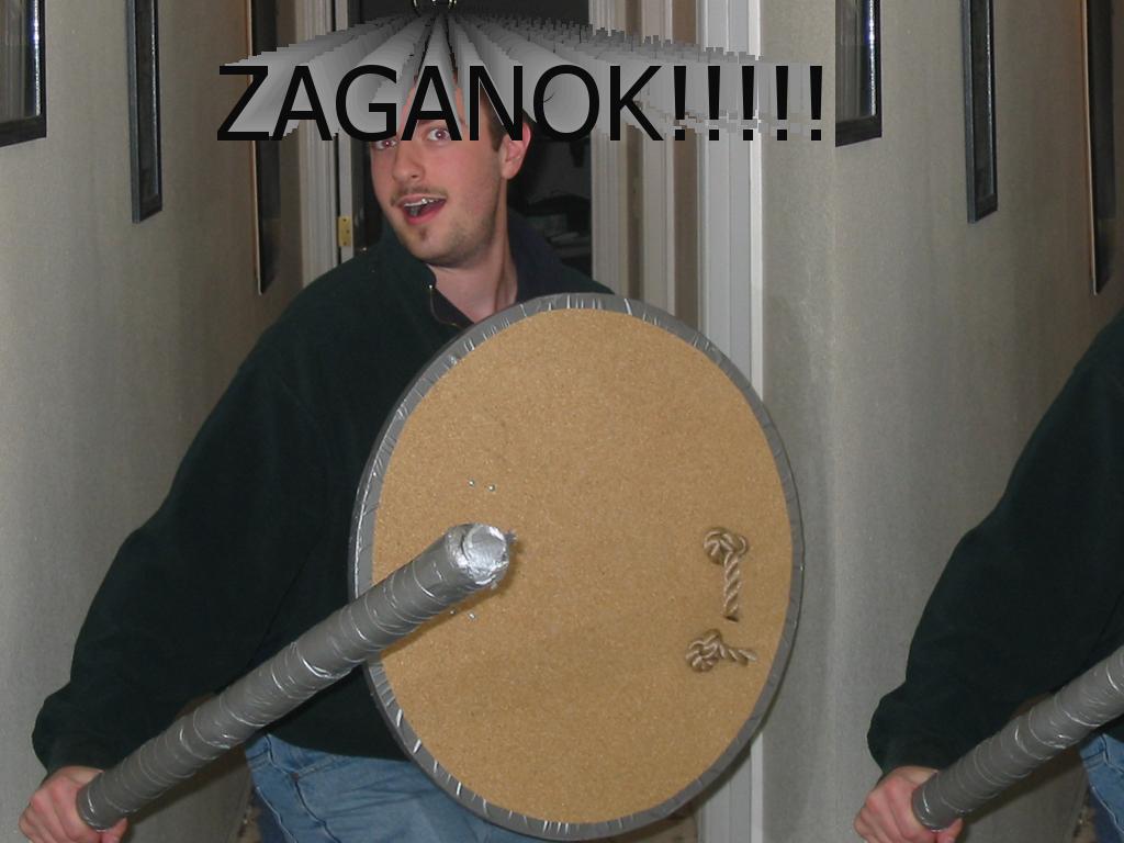 zaganok