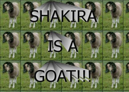 shakira is a goat