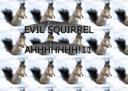 Evil squirrel wants all the nuts