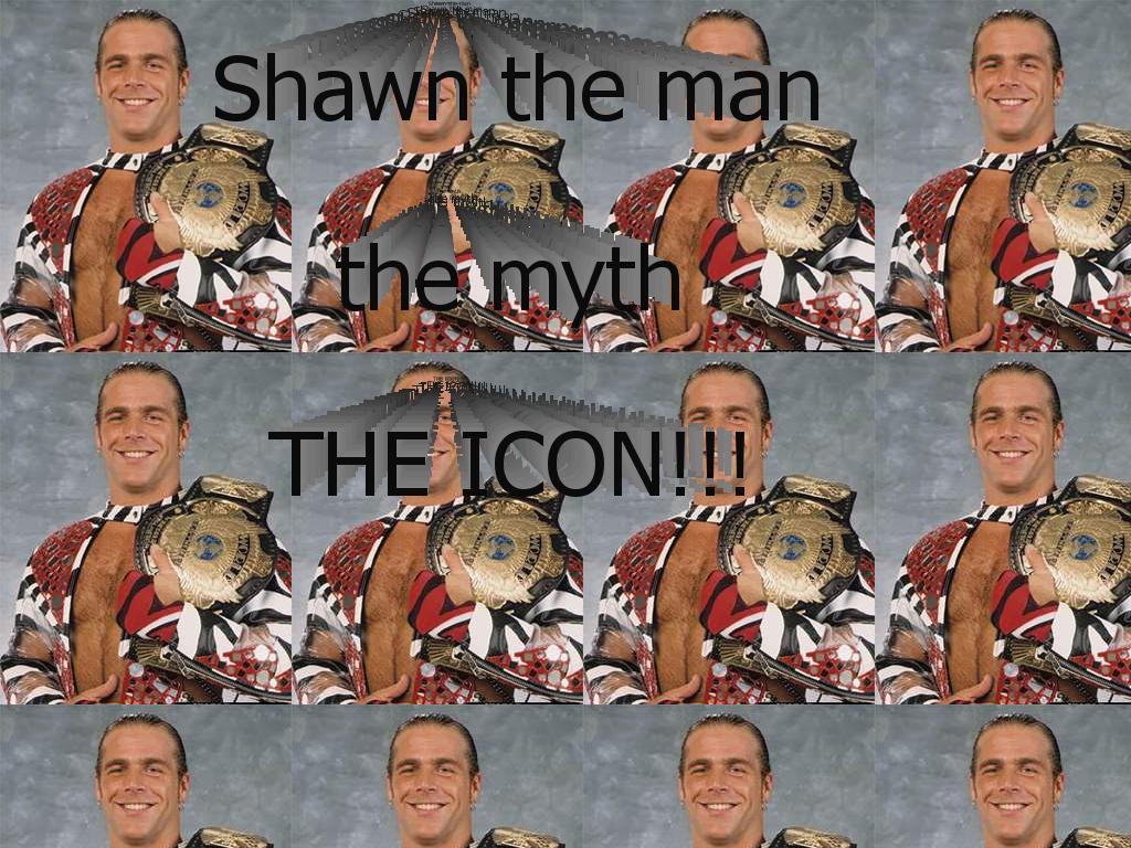 Shawnmichalestheicon