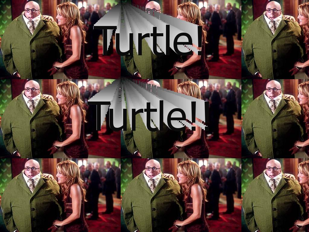 turtle13