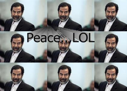 salam from saddam!