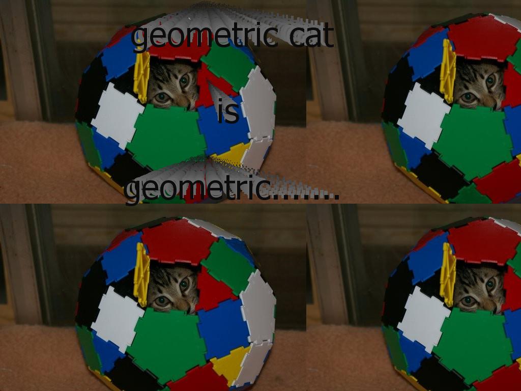 geometriccat