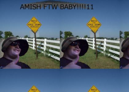 AMISH POWA